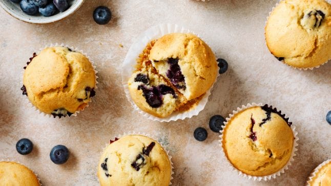 from the start nutrition new jersey 4